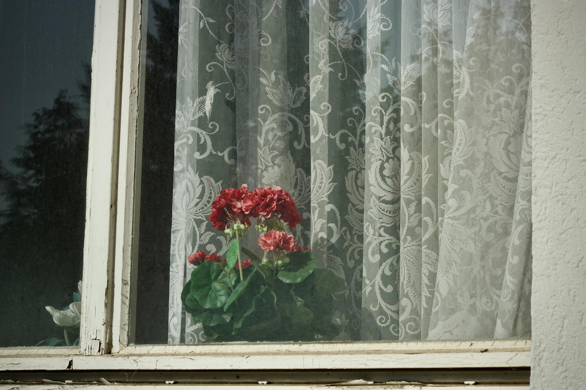 Widok Osiedla Awaryjnego w Leżajsku — zaniedbana infrastruktura i trudne warunki mieszkaniowe